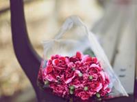 浮图塔一周生肖运势（3.7-3.13）