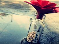 占卜你们的爱情缺少情趣了吗？