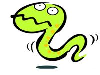 有关12生肖的男女配对——蛇