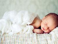 有关12生肖的出生吉月