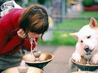 能在一起过苦日子的生肖组合