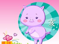12生肖女的必胜追求法—猪