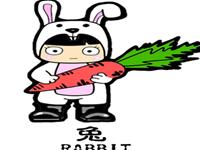 12生肖的老公类型——兔