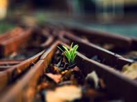 12星男事业上要克服的负面心态