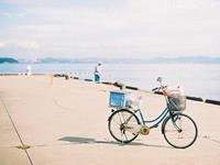 占卜你的幸福来源是什么