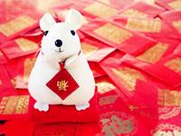 12生肖撒过最真实的谎—鼠