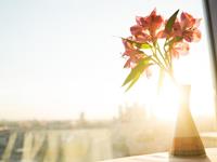 占卜你有哪种爱的语言