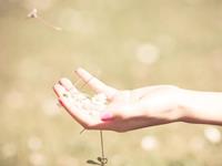 占卜你的人生课题已完成多少