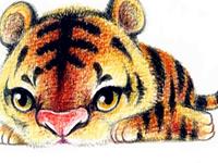 12生肖的吃醋表现—虎