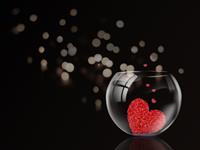 从哪看出12星座是否认真爱你