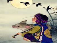 12生肖男最爱性女伴—猪