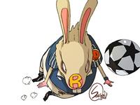 生肖兔职场晋升攻略