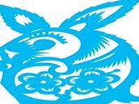 生肖兔你不知道的那些事