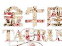 金牛座会为了爱付出多少