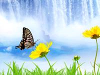 紫微斗数看性别对人命运的影响