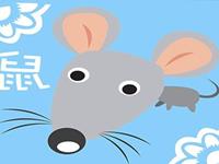 生肖鼠在几岁运气爆好