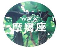 摩羯男最烦女友这样做