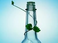 测你是否会被同性恋骚扰