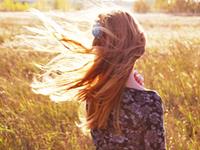 紫微斗数看没有婚姻缘的命盘