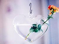 测你的玻璃心会不会错失真爱