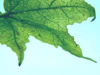 占卜你在6月是否会赚大钱