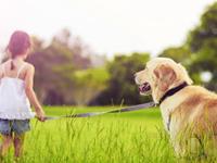 占卜你的ta是个爱情骗子吗