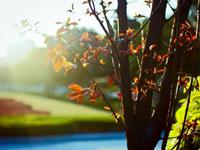 占卜你多久才能结束单身