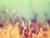 占卜你现在该如何调整自己