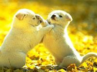 占卜你是一个会复仇的人吗