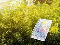 学习塔罗牌到底需要哪些灵力