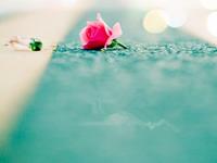 占卜你在恋爱时都犯过哪些傻