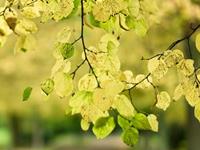 占卜你和哪种男人在一起必分