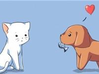 占卜你这个月可以成功告白吗