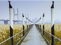 占卜你最近会有什么困难