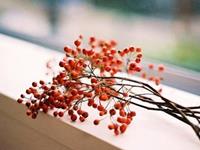 测他是你的匆匆过客吗