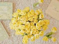 占卜他对你们之间的感情是认真的吗