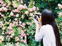 闹闹女巫店2016下半年运势