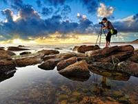 想创业，生肖君看这里