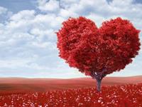 那些生肖君懂爱情里的细节