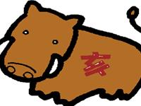 如何给猪宝宝选个好名字