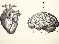 占卜你能被伤得有多深