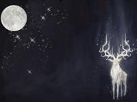 占卜你的守护灵兽是什么