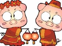 结婚之后，生肖猪的担心