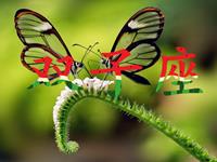 当双子座爱上了你