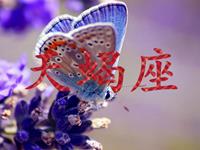 当天蝎座爱上了你