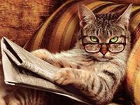 占卜你适合什么工作