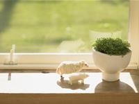 那些最易破财的居家现象