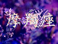 剖析摩羯座的真实性格