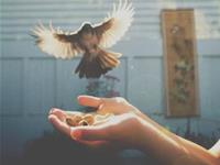 占卜你现在应该告白吗