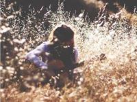 占卜你最近的烦恼会雨过天晴吗